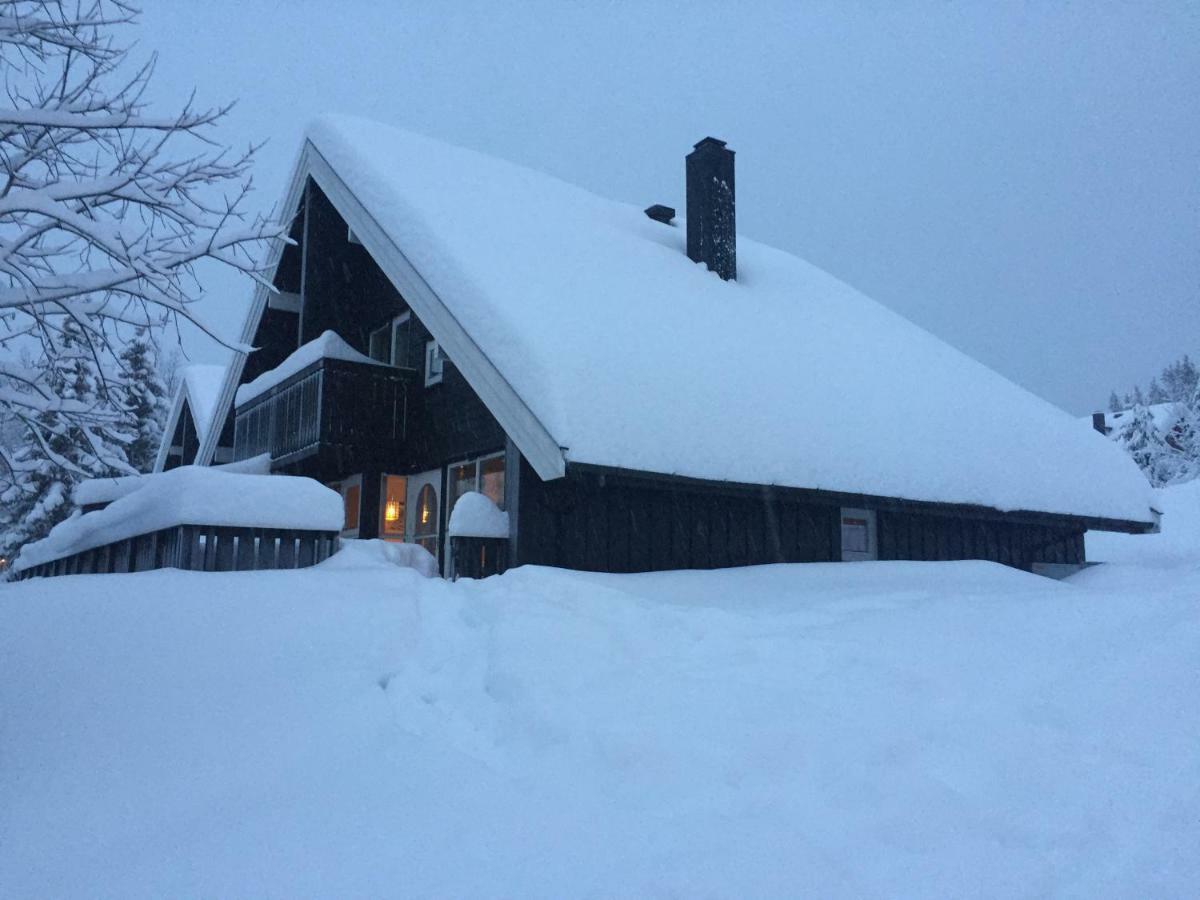 Trysil Alpin 16A Top Location المظهر الخارجي الصورة